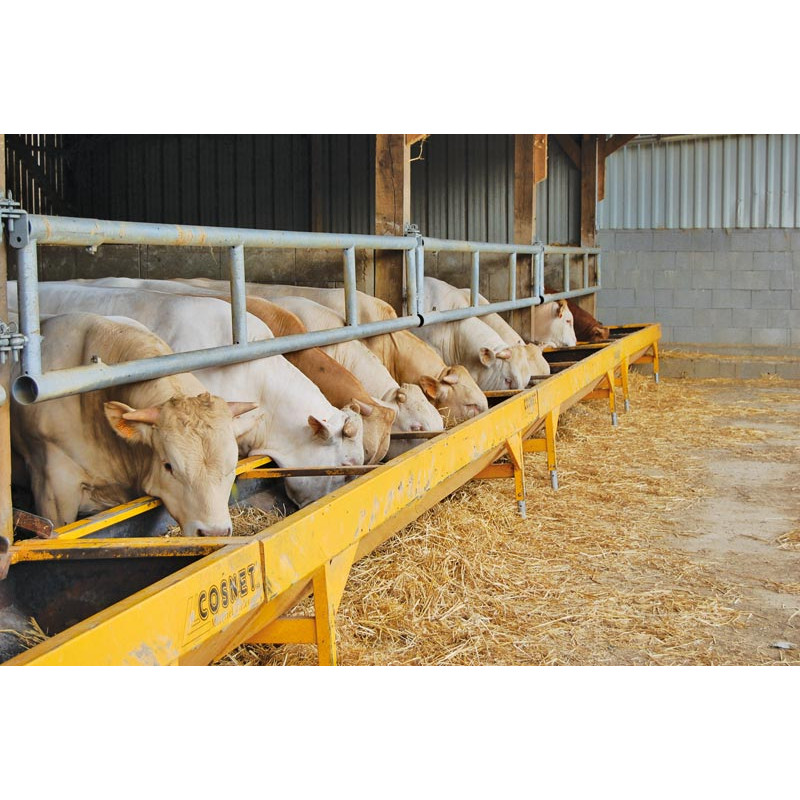 Lackierter verstärkter Trog 3 x 0,60 m Lackierter verstärkter Trog 3 x 0,60 m