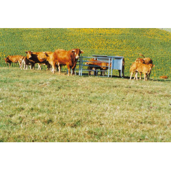 3 m - 1000 L aufstockbarer Futterautomat 3 m - 1000 L aufstockbarer Futterautomat