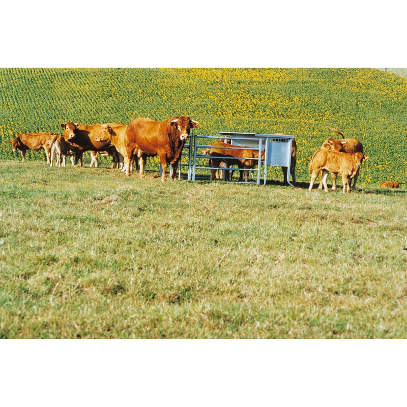 3 m - 1000 L aufstockbarer Futterautomat 3 m - 1000 L aufstockbarer Futterautomat