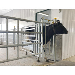 Selbstfangfressgitterelement für Stall Selbstfangfressgitterelement für Stall