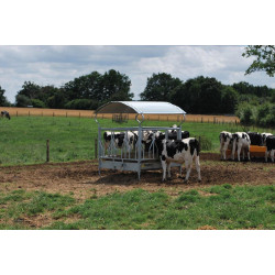 RTLS Futterraufe mit Fressgittern RTLS Futterraufe mit Fressgittern