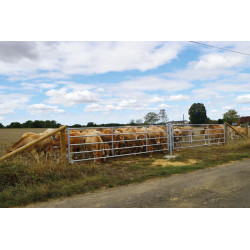 5/6 m Ø42,4 mm ausziehbare Abtrennung 5/6 m Ø42,4 mm ausziehbare Abtrennung