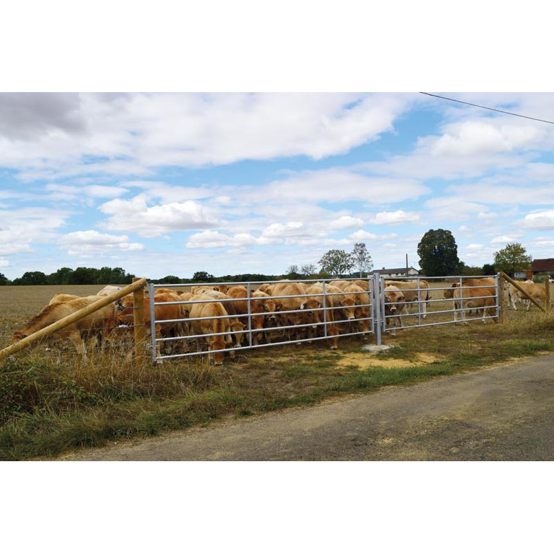 5/6 m Ø42,4 mm ausziehbare Abtrennung 5/6 m Ø42,4 mm ausziehbare Abtrennung