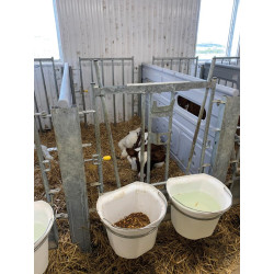 Vordertür für Kälberboxen 