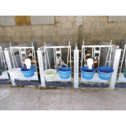 Vordertür für Kälberboxen 