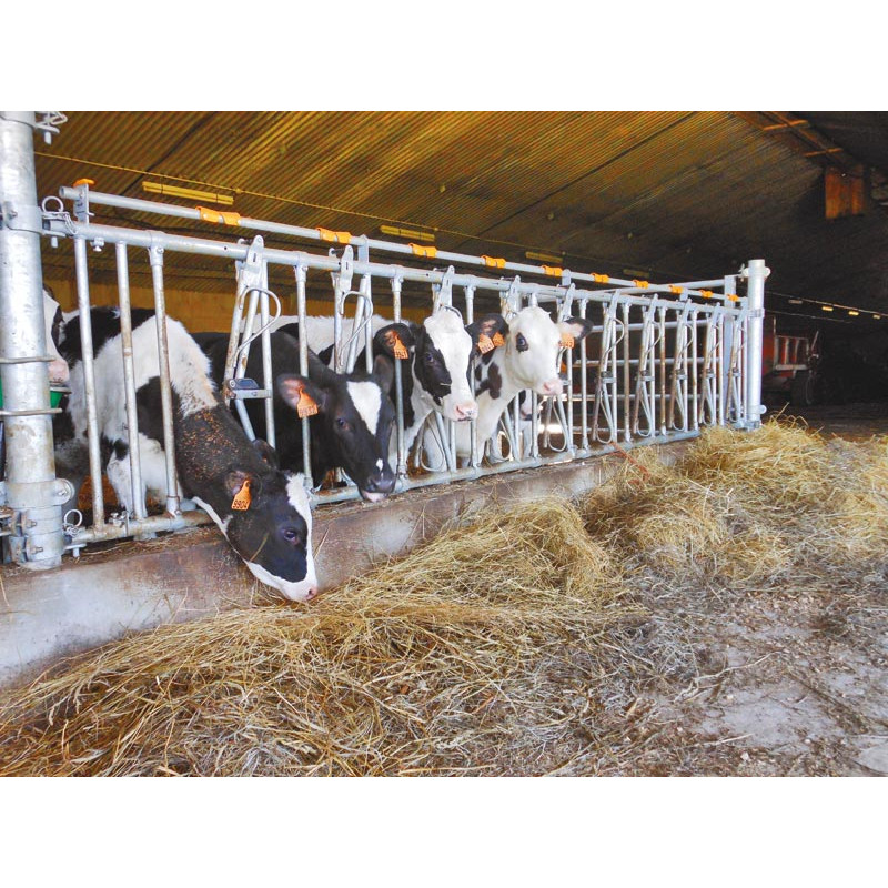 10 Plätze/5 m JUNIOR KOMFORT SR Selbstfangfressgitter für Kälber ohne Eimerhalter 10 Plätze/5 m JUNIOR KOMFORT SR Selbstfangfressgitter für Kälber ohne Eimerhalter