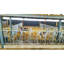 Ø 42,4 mm Abtrenngitter - Länge 3 m