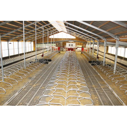 Monofuß Liegeboxenbügel zum Aufdübeln für Großvieh