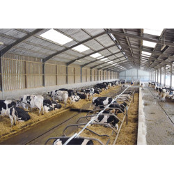 Ø 49 mm gewölbte Nackenrohrstange für Liegeboxenbügel