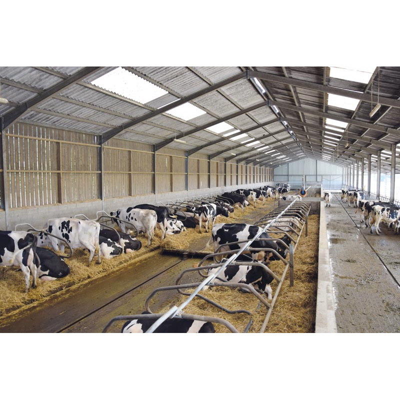 Ø 49 mm gewölbte Nackenrohrstange für Liegeboxenbügel