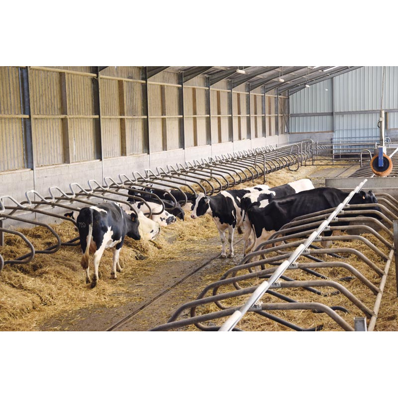 Ø 49 mm gewölbte Nackenrohrstange für Liegeboxenbügel