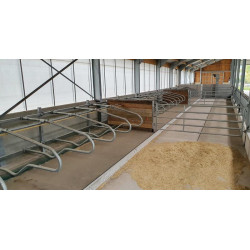 EUROPA Liegeboxenbügel für Jungvieh L.1450 x B. 540 mm