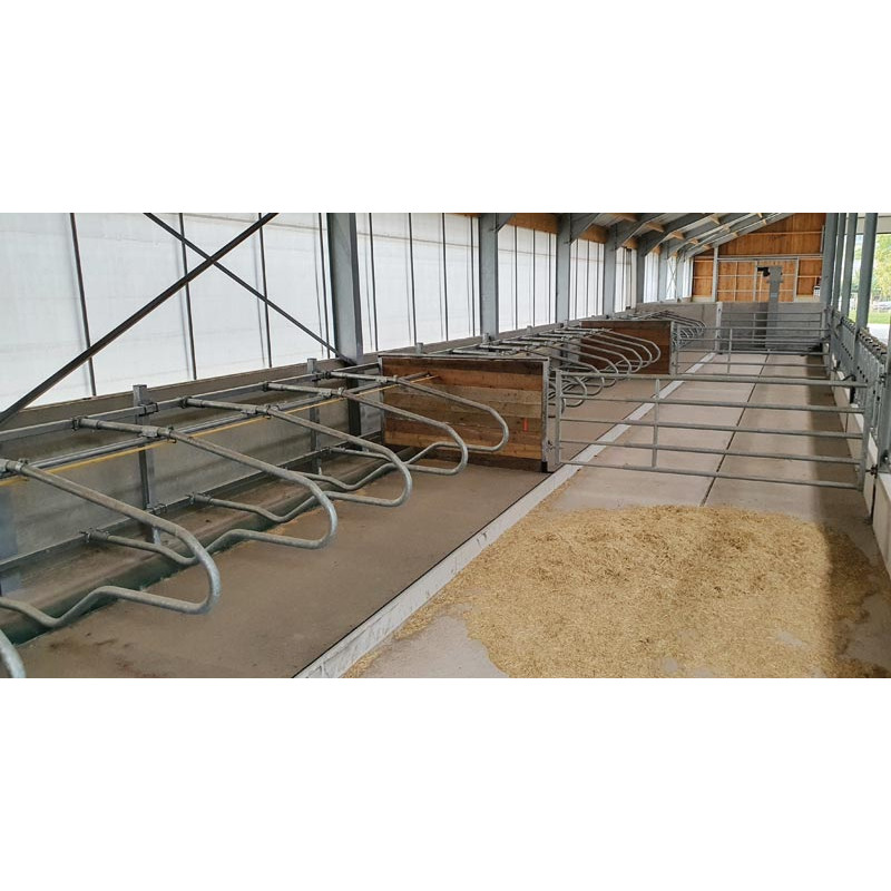 EUROPA Liegeboxenbügel für Jungvieh L.1450 x B. 540 mm