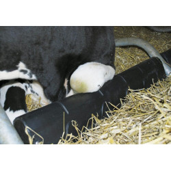 Bugschwelle aus Kunststoff