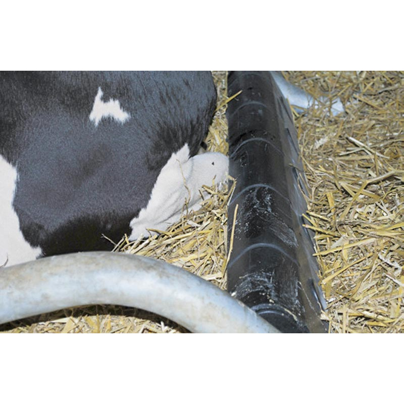 Bugschwelle aus Kunststoff