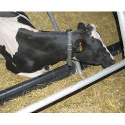 Bugschwelle aus Kunststoff