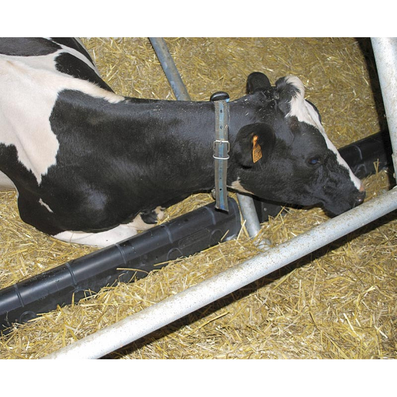 Bugschwelle aus Kunststoff