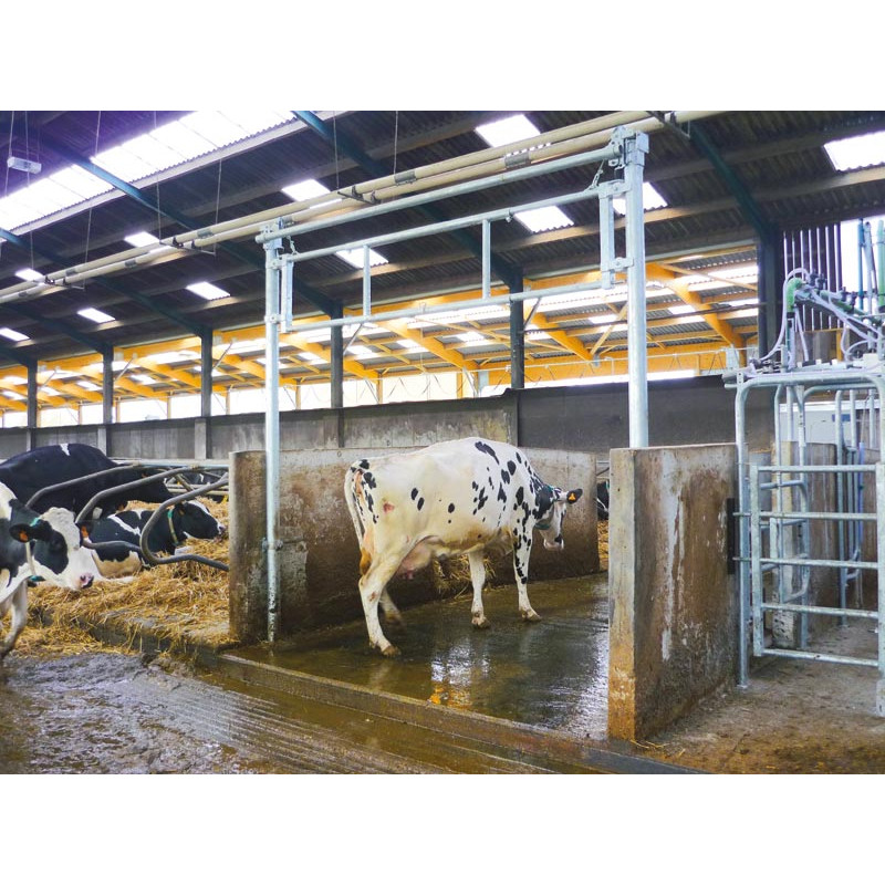 2,30/3,40 m Hubtor für Liegeboxengänge