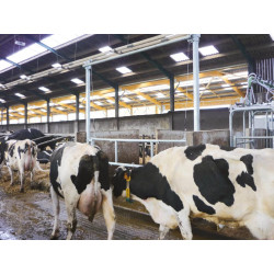 2,30/3,40 m Hubtor für Liegeboxengänge