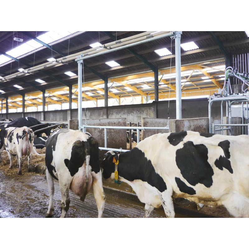 2,30/3,40 m Hubtor für Liegeboxengänge