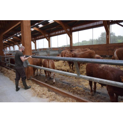 2-rohriger Ø 88 mm Nackenriegel  - 6 m