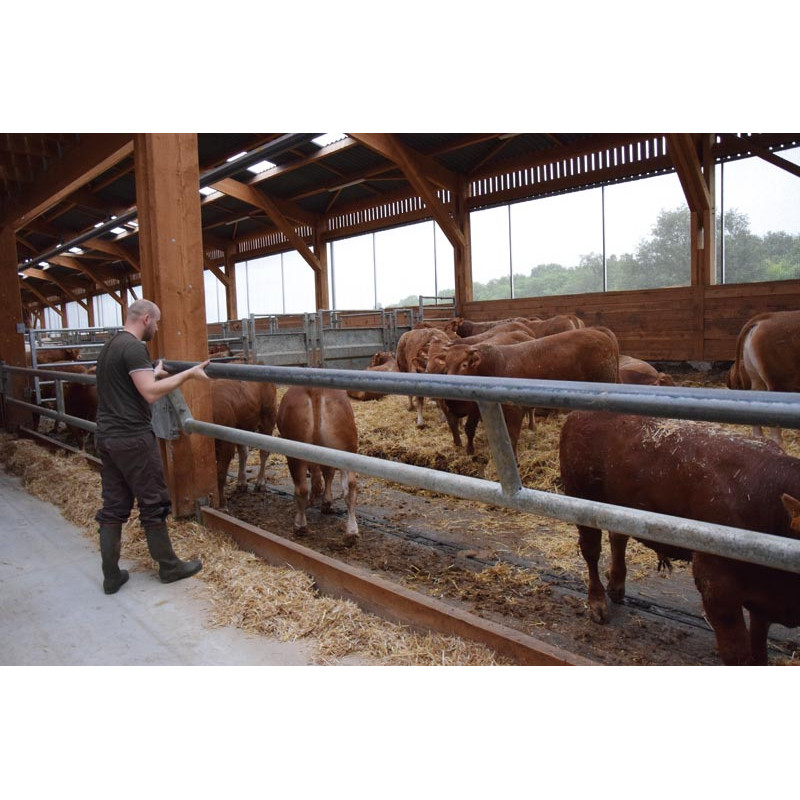 2-rohriger Ø 88 mm Nackenriegel  - 6 m