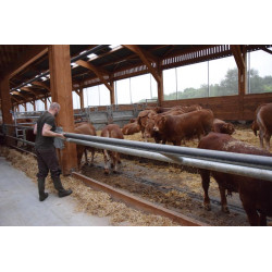 2-rohriger Ø 88 mm Nackenriegel  - 6 m