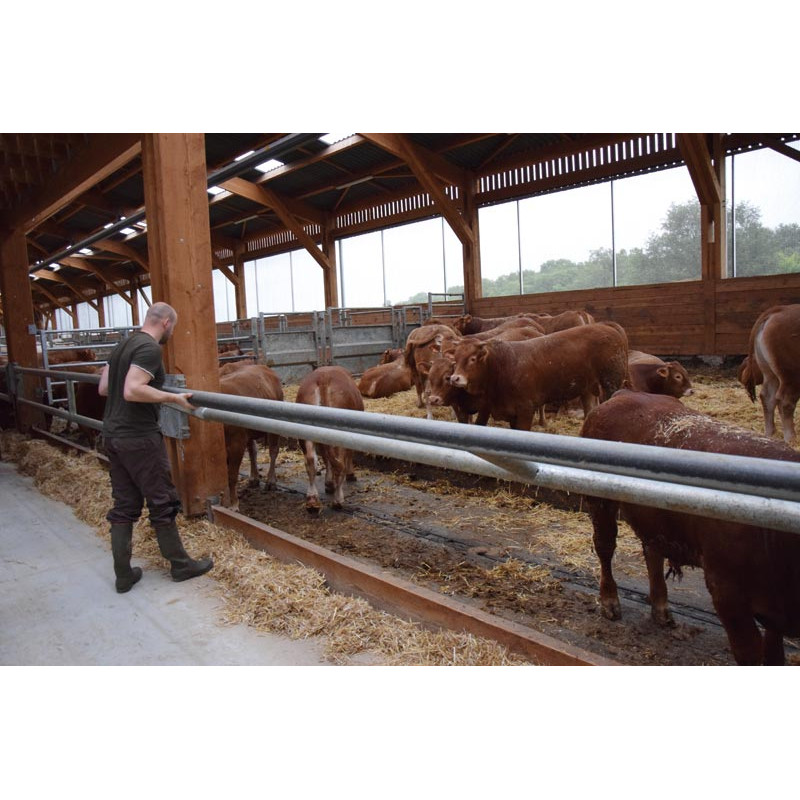 2-rohriger Ø 88 mm Nackenriegel  - 6 m