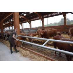 2-rohriger Ø 88 mm Nackenriegel  - 6 m