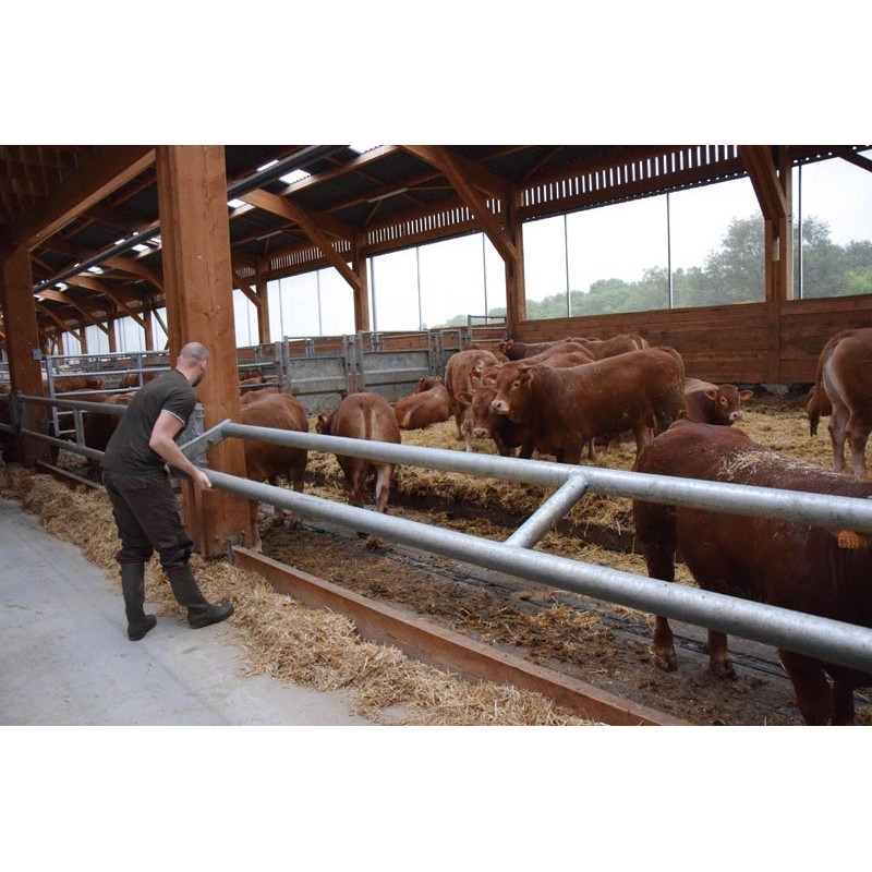 2-rohriger Ø 88 mm Nackenriegel  - 6 m