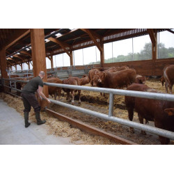 2-rohriger Ø 88 mm Nackenriegel  - 6 m