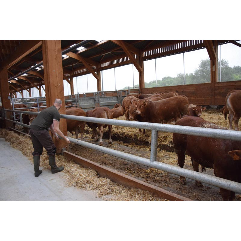 2-rohriger Ø 88 mm Nackenriegel  - 6 m