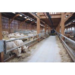 2-rohriger Ø 88 mm Nackenriegel  - 6 m