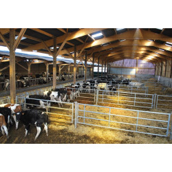 0,90/2 m 5-rohriges Hauptteil 0,90/2 m 5-rohriges Hauptteil