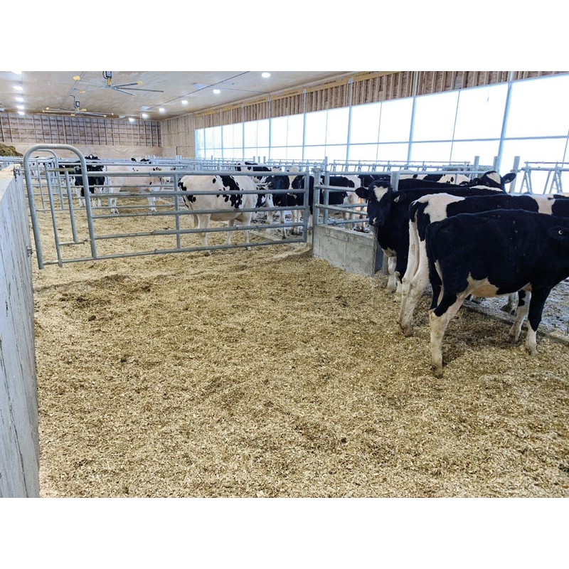 5-rohriges Einschubteil als Personendurchgang mit kleiner Tür 5-rohriges Einschubteil als Personendurchgang mit kleiner Tür