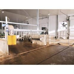 Fingergattermodul mit einzubetonierenden Ø 102 mm Pfosten