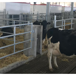 „EASYLOCK“ Wandplatte 