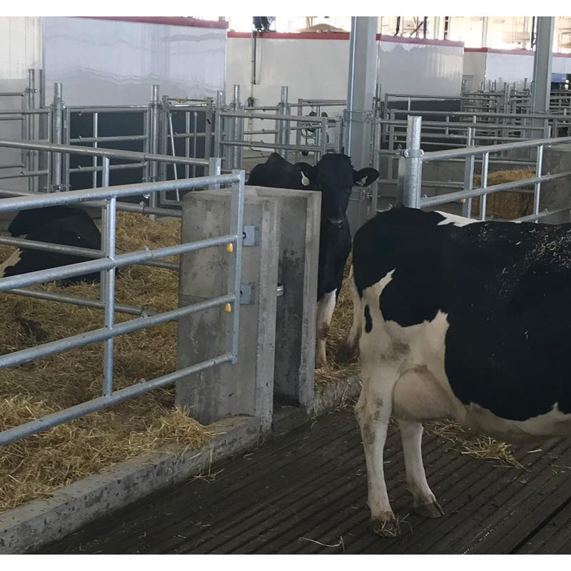 „EASYLOCK“ Wandplatte 