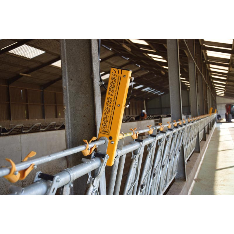 CABON-System Starterset