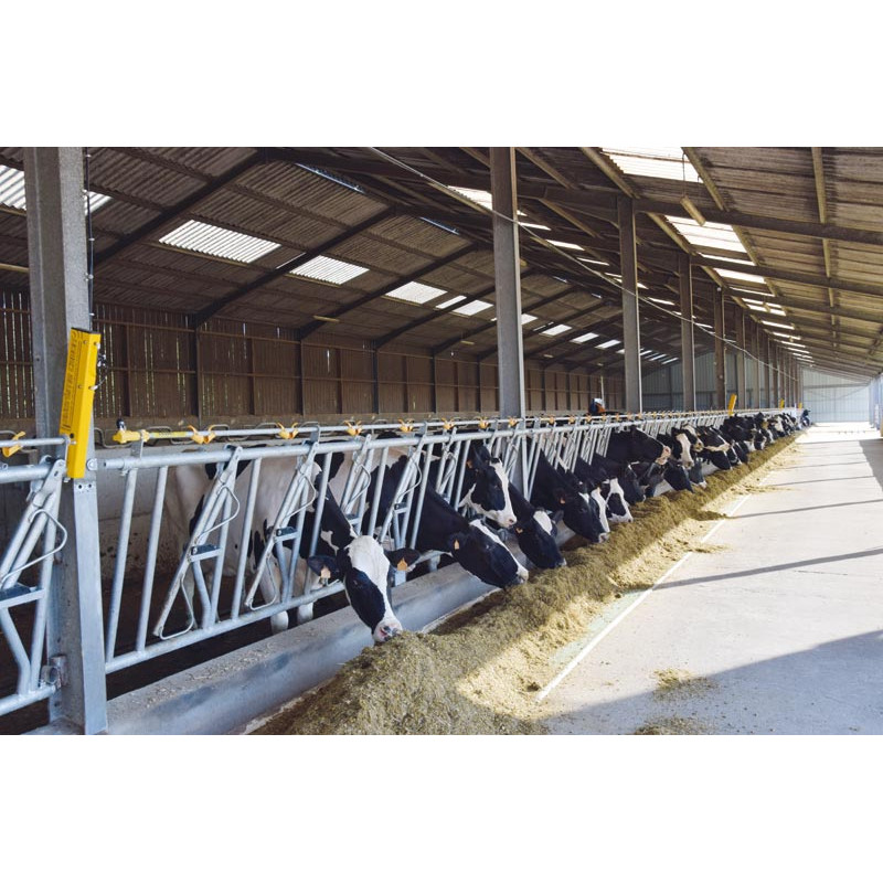 CABON-System Starterset