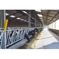 CABON-System Starterset