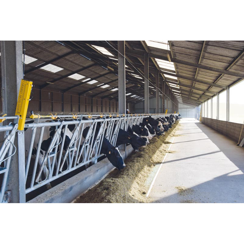 CABON-System Starterset