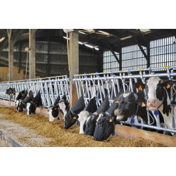 Komfort SR Selbstfangfressgitter - 5 m/7 Plätze