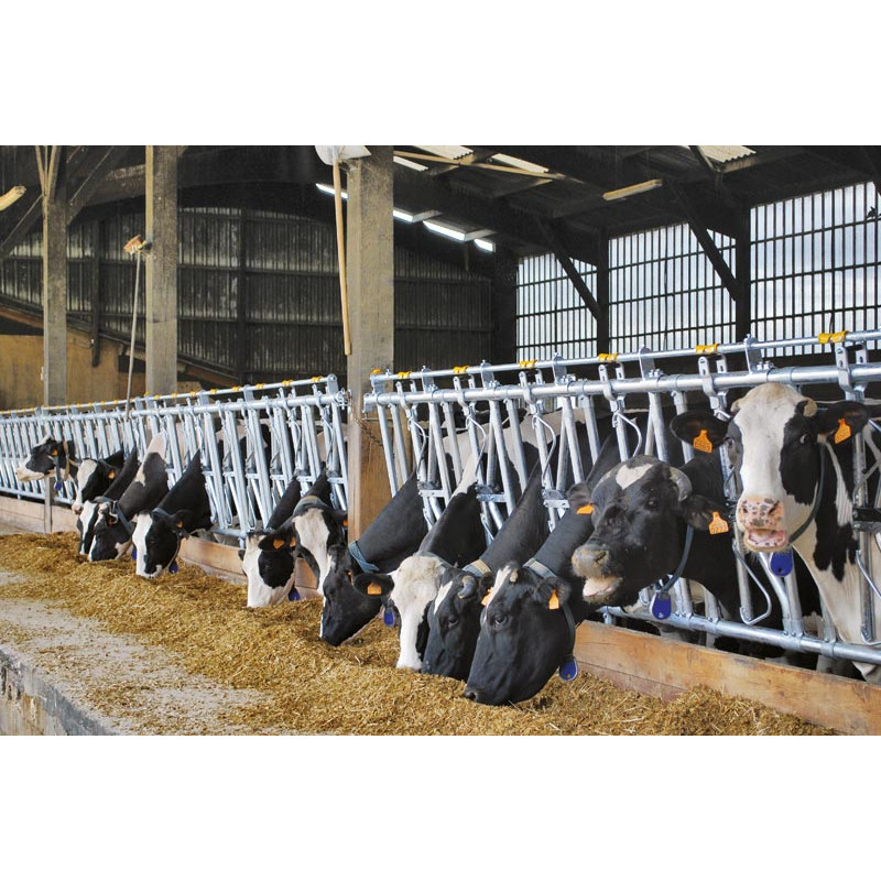 Komfort SR Selbstfangfressgitter - 5 m/7 Plätze