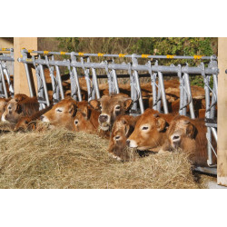 Komfort SR Selbstfangfressgitter - 5 m/7 Plätze