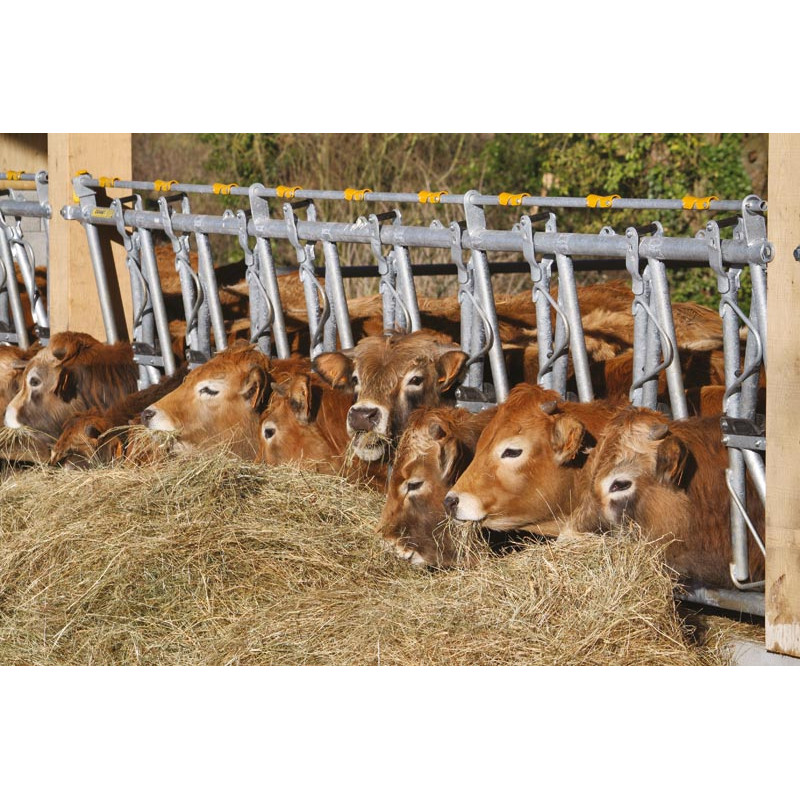 Komfort SR Selbstfangfressgitter - 5 m/7 Plätze