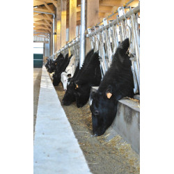 Komfort SR Selbstfangfressgitter - 5 m/7 Plätze