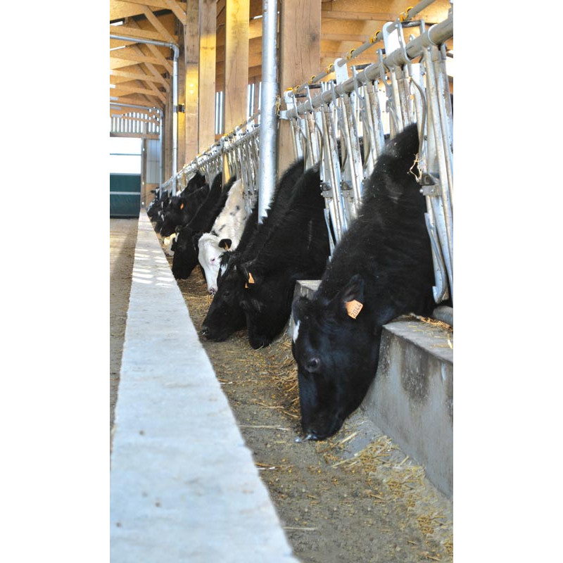 Komfort SR Selbstfangfressgitter - 5 m/7 Plätze