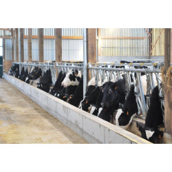 Komfort SR Selbstfangfressgitter - 5,40 m/8 Plätze Komfort SR Selbstfangfressgitter - 5,40 m/8 Plätze