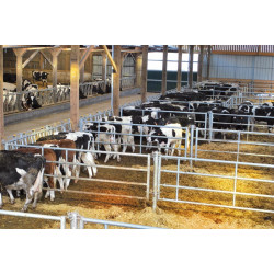 Komfort LR Selbstfangfressgitter - 4 m/5 Plätze Komfort LR Selbstfangfressgitter - 4 m/5 Plätze